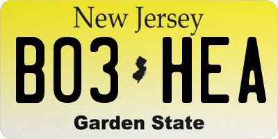 NJ license plate B03HEA