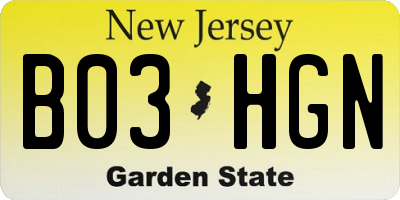 NJ license plate B03HGN
