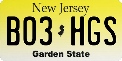 NJ license plate B03HGS