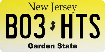 NJ license plate B03HTS