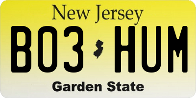 NJ license plate B03HUM