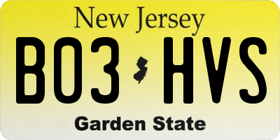 NJ license plate B03HVS