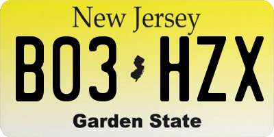 NJ license plate B03HZX