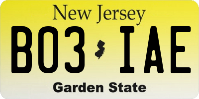 NJ license plate B03IAE
