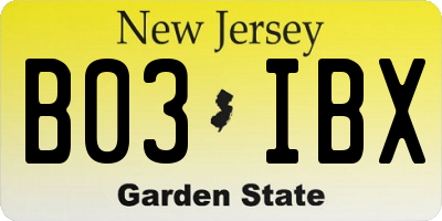 NJ license plate B03IBX
