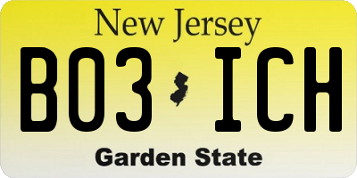 NJ license plate B03ICH