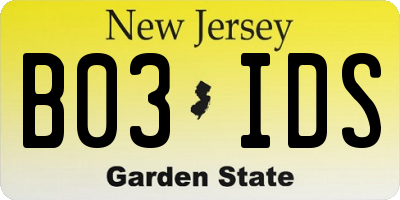 NJ license plate B03IDS