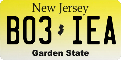 NJ license plate B03IEA