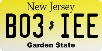 NJ license plate B03IEE