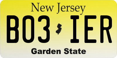 NJ license plate B03IER