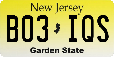 NJ license plate B03IQS