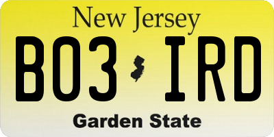 NJ license plate B03IRD
