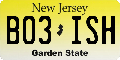 NJ license plate B03ISH