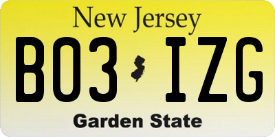 NJ license plate B03IZG