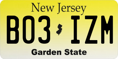NJ license plate B03IZM