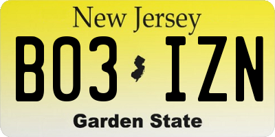 NJ license plate B03IZN