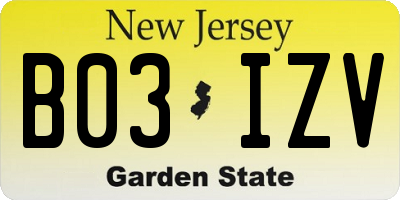 NJ license plate B03IZV