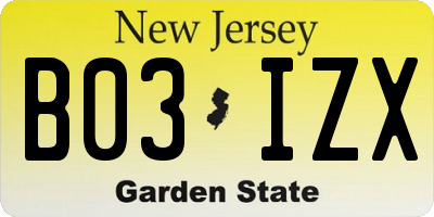 NJ license plate B03IZX