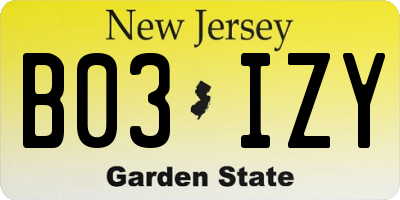 NJ license plate B03IZY