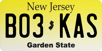 NJ license plate B03KAS
