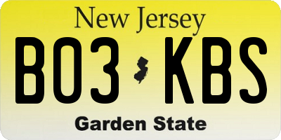 NJ license plate B03KBS