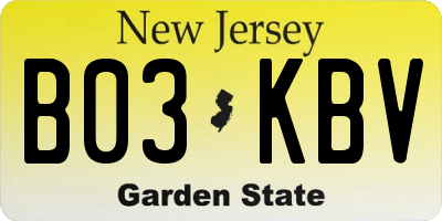 NJ license plate B03KBV