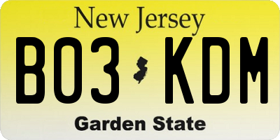 NJ license plate B03KDM