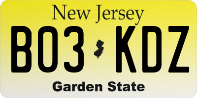 NJ license plate B03KDZ