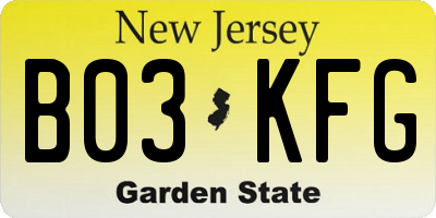 NJ license plate B03KFG
