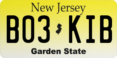 NJ license plate B03KIB