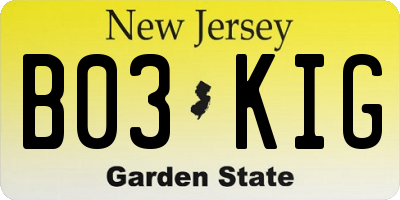 NJ license plate B03KIG