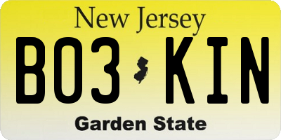 NJ license plate B03KIN