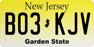 NJ license plate B03KJV