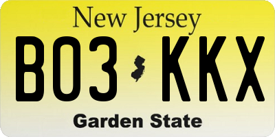 NJ license plate B03KKX