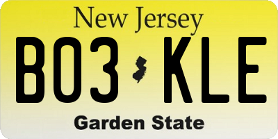 NJ license plate B03KLE