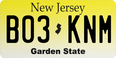NJ license plate B03KNM