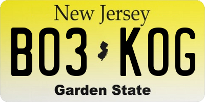 NJ license plate B03KOG