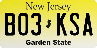 NJ license plate B03KSA