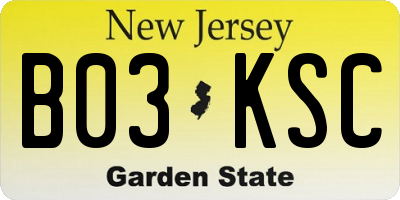 NJ license plate B03KSC
