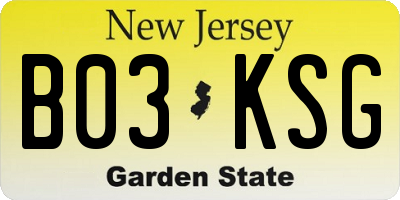 NJ license plate B03KSG