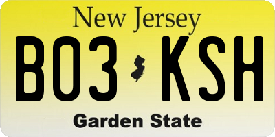 NJ license plate B03KSH