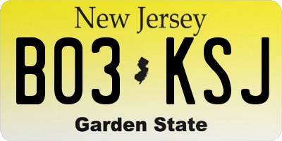 NJ license plate B03KSJ