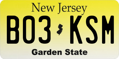 NJ license plate B03KSM