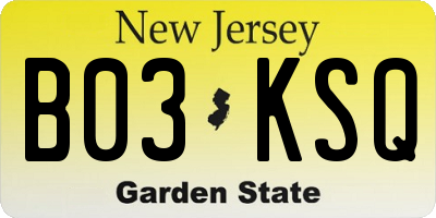 NJ license plate B03KSQ