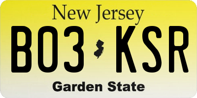 NJ license plate B03KSR