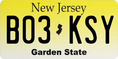 NJ license plate B03KSY