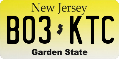 NJ license plate B03KTC