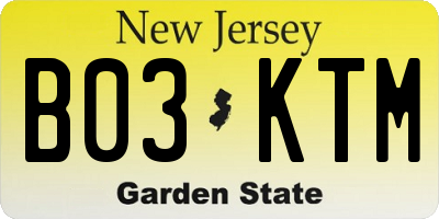 NJ license plate B03KTM