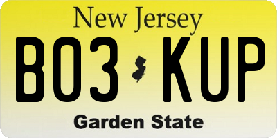 NJ license plate B03KUP