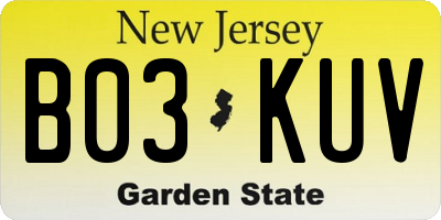 NJ license plate B03KUV